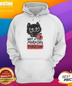 Funny cat hoodie design featuring a sleepy cat with the phrase 'Not a morning purrson' for cat lovers.