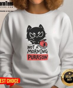 Funny cat not a morning purrson sweatshirt featuring a playful feline design, perfect for cat lovers and cozy wear.