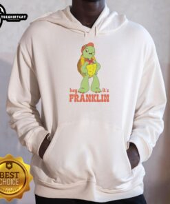 Cozy Good Hey It's Franklin the Turtle hoodie featuring vibrant graphics of Franklin, perfect for fans of the beloved character.