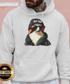 Alt Text: New York Jets mascot in a beanie and sunglasses, sporting a hoodie, showcasing team spirit and fun.