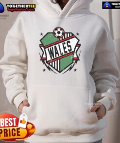 Good Wales Qatar Soccer Hoodie featuring a vibrant design, perfect for fans supporting the team in style.