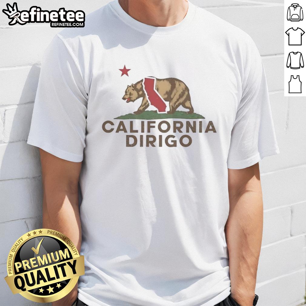 hot-dirigo-california-bear-california-republic-wordplay-vintage-t-shirt-1 Alt Text: Vintage T-shirt featuring a California bear design with California Republic wordplay, perfect for state pride.