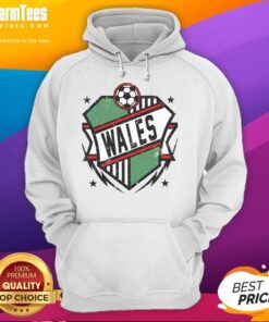 Nice Wales Qatar soccer hoodie featuring vibrant colors and team logo, perfect for fans and casual wear.