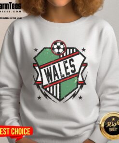 Nice Wales Qatar soccer sweatshirt featuring vibrant colors and a unique design, perfect for fans and casual wear.