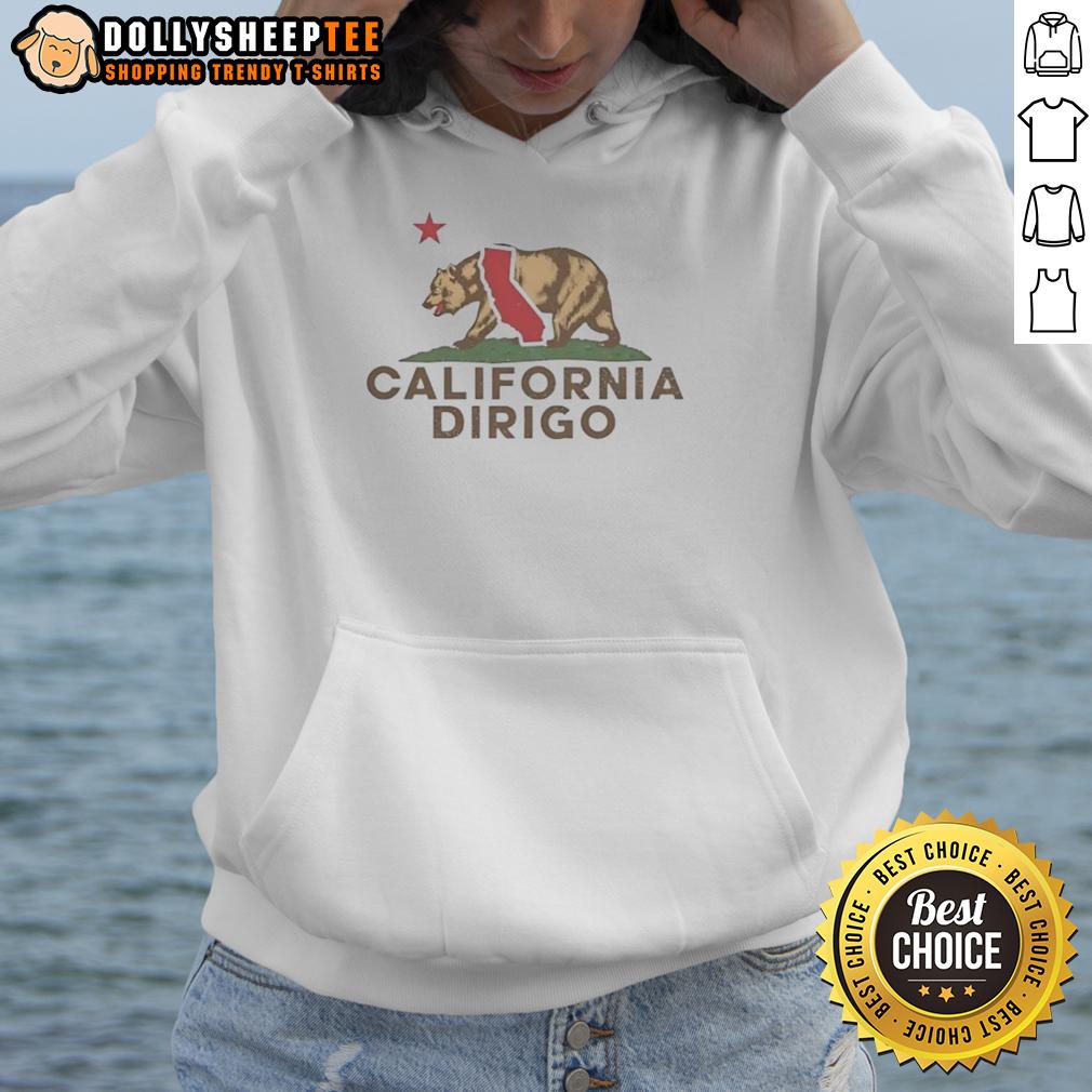 Official Dirigo California Bear California Republic Wordplay Vintage Hoodie Vintage California Bear hoodie featuring 'Dirigo California Republic' wordplay design, perfect for casual wear.