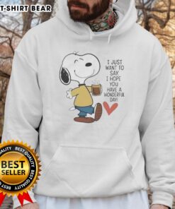 Alt Text: Original I Just Want To Say I Hope You Have A Wonderful Day Hoodie in vibrant colors, perfect for casual wear.
