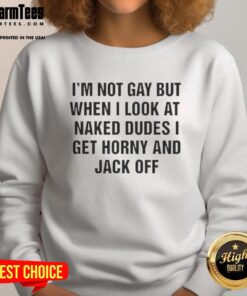 Alt Text: Original Tallulah Willis 'I'm Not Gay But When I Look at Naked Dudes I Get Horny' sweatshirt displayed on a hanger.