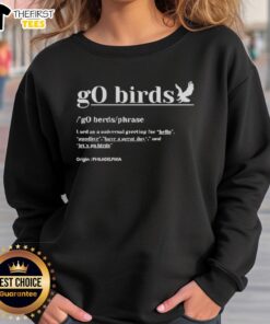 Premium Definition Go Birds sweatshirt featuring Philadelphia Eagles logo, perfect for football fans and game day wear.