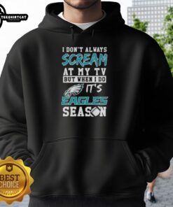 Premium hoodie featuring 'I Don't Always Scream at My TV, But When I Do, It's Philadelphia Eagles' design.