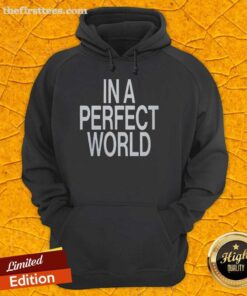 Premium In A Perfect World Hoodie in stylish design, featuring soft fabric and vibrant colors, perfect for casual wear.
