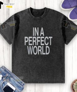 Alt Text: Premium In A Perfect World washed t-shirt in soft fabric, featuring a relaxed fit and stylish design for casual wear.