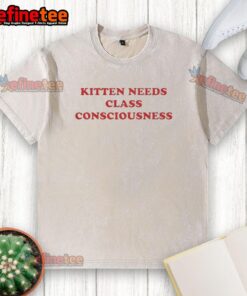 Premium kitten design on a class-conscious washed t-shirt, perfect for stylish cat lovers and trendsetters.