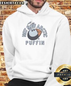 Premium Not Now Arctic Puffin Hoodie in cozy fabric, featuring a colorful puffin design for stylish comfort.