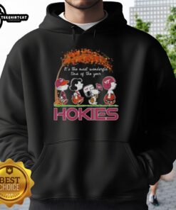 Premium Virginia Tech Hokies hoodie featuring Snoopy and friends celebrating autumn and the most wonderful time.