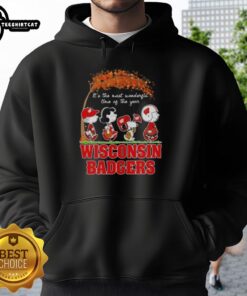 Alt Text: Premium Wisconsin Badgers X Peanuts Snoopy and Friends autumn hoodie featuring festive designs for fall celebrations.