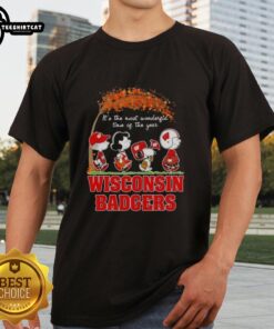 Premium Wisconsin Badgers X Peanuts Snoopy And Friends Autumn T-Shirt for a festive fall season celebration.
