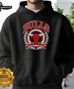 Stylish Chicago Bulls hoodie featuring the National Basketball Association crest, perfect for fans and fashion lovers.