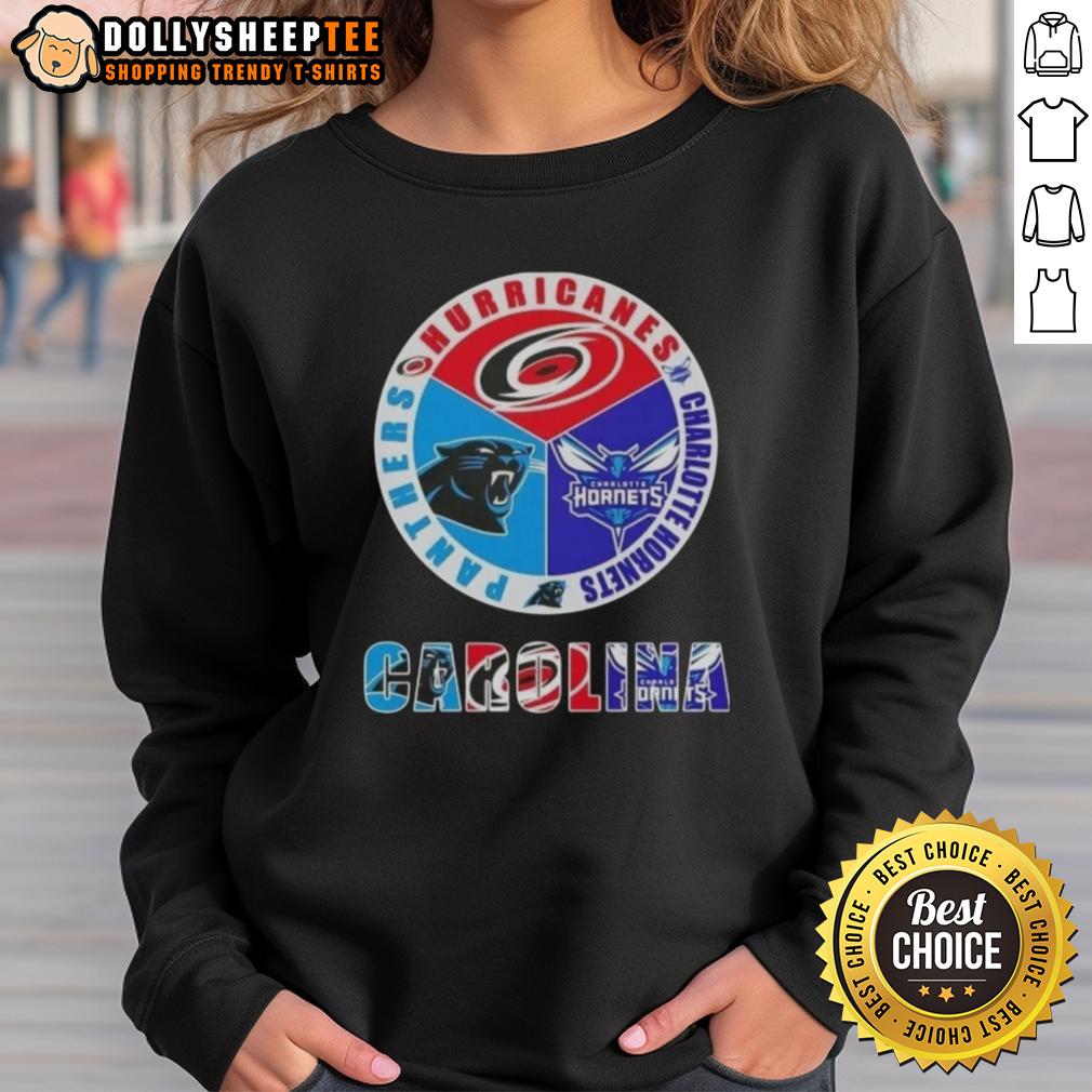 Top Carolina City Sports Hurricanes Charlotte Hornets Panthers Logo Sweatshirt Cozy sweatshirt featuring logos of Carolina Hurricanes, Charlotte Hornets, and Panthers for sports fans.