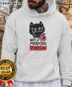 Cozy 'Top Cat Not a Morning Purrson' hoodie featuring a playful cat graphic, perfect for cat lovers and comfy attire.