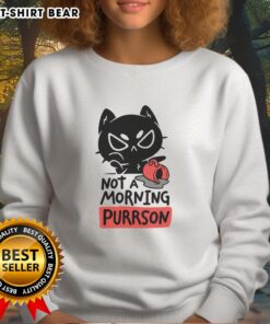Cozy 'Top Cat Not a Morning Purrson' sweatshirt featuring a playful cat design, perfect for cat lovers and comfy days.