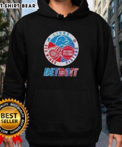 Top Detroit City Sports hoodie featuring Lions, Pistons, and Red Wings logos, perfect for fans of Detroit teams.