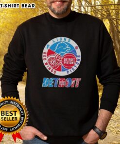 Top Detroit City Sports sweatshirt featuring logos of Lions, Pistons, and Red Wings, perfect for sports fans.