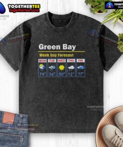 Top Green Bay Erratic 5-Day Weather Forecast washed t-shirt featuring a stylish design and vibrant colors.