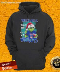 Arizona Wildcats Christmas hoodie featuring 'They Hate Us Because They Ain't Us' design, perfect for holiday spirit.