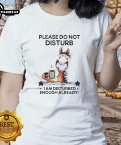 Top Horse 'Please Do Not Disturb, I Am Disturbed Enough Already' Ladies Tee - Fun equestrian shirt for horse lovers.