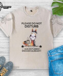 Top horse graphic on a 'Please Do Not Disturb' washed t-shirt, perfect for horse lovers wanting peace and quiet.