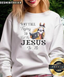 Top Horse sweatshirt featuring 'Why Y'all Trying to Test the Jesus in Me' design, perfect for casual and faith-inspired wear.