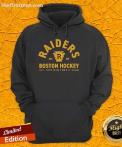 Top Ilya Rozanov 81 Boston Raiders Hockey Est 1924 hoodie displayed on a mannequin with a stylish urban background.