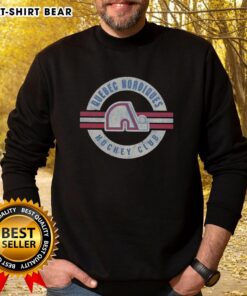 Vintage Quebec Nordiques surround sweatshirt featuring classic team colors and logo, perfect for NHL fans.
