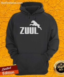 Top Zuul logo parody hoodie featuring a playful design and vibrant colors, perfect for fans of quirky apparel.