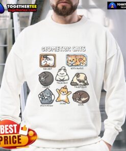 Awesome geometric cats sweatshirt featuring colorful cat designs on a stylish pullover, perfect for cat lovers.