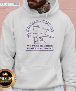 Awesome hoodie with slogan 'If Trump hates us this much, we must be doing something right' promoting activism and resistance.