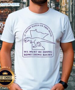 Awesome If Trump Hates Us This Much We Must Be Doing Something Right T-Shirt design featuring bold text and patriotic colors.