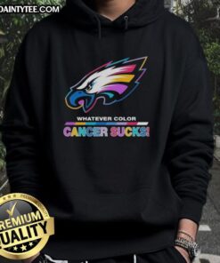 Alt Text: Awesome Philadelphia Eagles hoodie featuring colorful cancer awareness logo, perfect for fans supporting the cause.