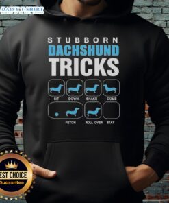 Adorable dachshund wearing a hoodie showcasing awesome stubborn tricks, perfect for dog lovers and pet enthusiasts.