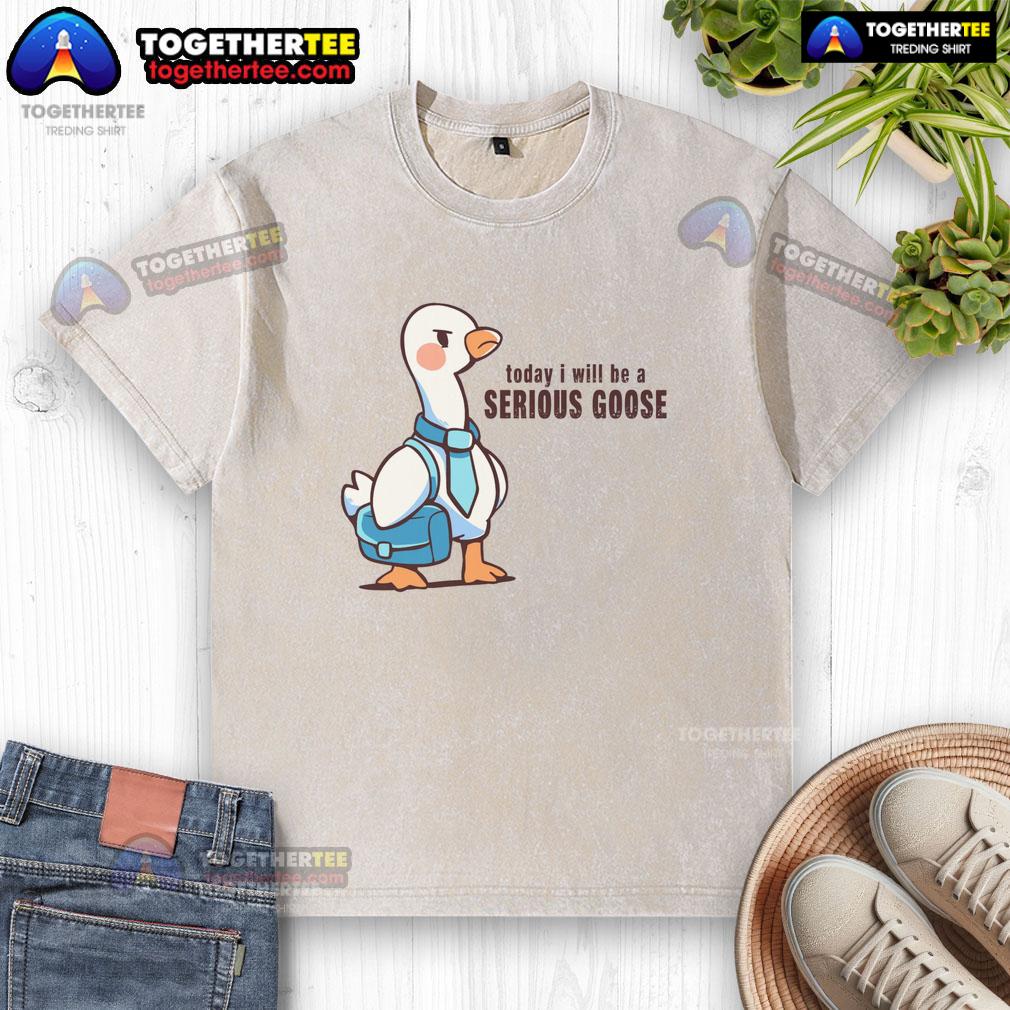 Awesome Today I Will Be A Serious Goose Washed T Shirt Awesome Today I Will Be A Serious Goose washed t-shirt displayed on a hanger, featuring a fun graphic design.