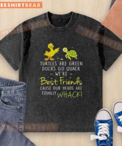 Colorful washed t-shirt featuring awesome turtles and ducks with fun text about friendship and quirky heads.