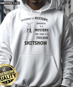 Alt Text: Awesome Wile E. Coyote Looney Tunes hoodie featuring 'Yesterday Is History, Tomorrow Is A Mystery, Today A Shitshow' design.