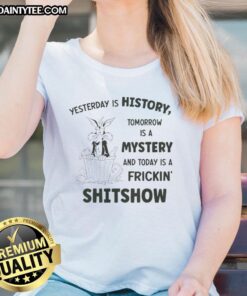Alt Text: Wile E. Coyote Looney Tunes ladies tee featuring 'Yesterday Is History, Tomorrow Is A Mystery, Today Is A Shitshow' design.