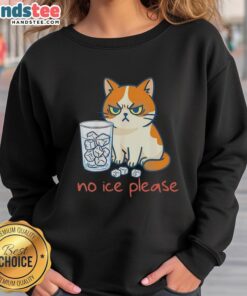Funny cat wearing a sweatshirt saying 'No Ice Please' against an icy background, perfect for cat lovers and humor fans.