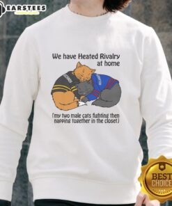 Alt Text: Two male cats playfully fighting and then napping together in a closet, showcasing their funny rivalry at home.