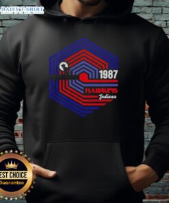 Good Stranger 1987 hoodie inspired by Stranger Things, featuring Hawkins, Indiana design in vibrant colors.