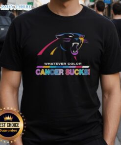 Carolina Panthers football t-shirt featuring 'Cancer Sucks' logo, showcasing team colors and a supportive message.