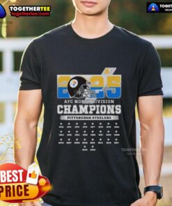 2025 AFC South Division Champions Pittsburgh Steelers T-Shirt featuring vibrant team colors and logo design.
