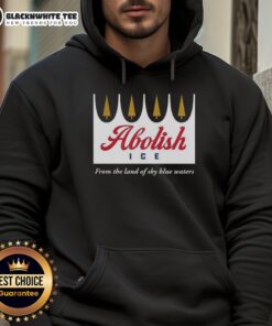 Nice Abolish Ice hoodie featuring 'Land of Sky Blue Waters' design, perfect for stylish winter warmth and activism.