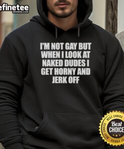 Funny hoodie with 'Nice, I'm not gay, but when I look at naked dudes, I get horny' text, perfect for humor lovers.